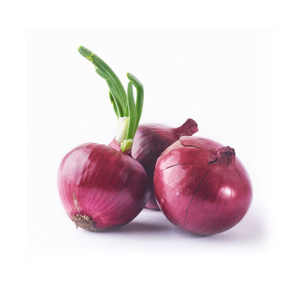 Purple Onion