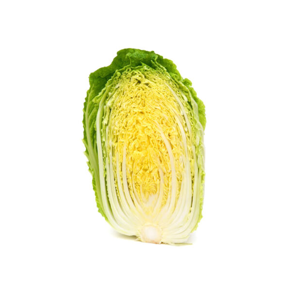 Napa Cabbage